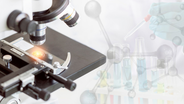 从中国制造变为中国研发，外企开启“逆向出海”｜ 进博新机遇