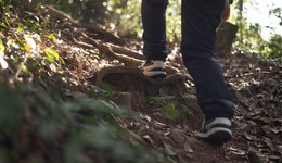 四川九峰山失聯(lián)9人已找到8人，驢友：當(dāng)?shù)芈窙r復(fù)雜，山上沒(méi)信號(hào)