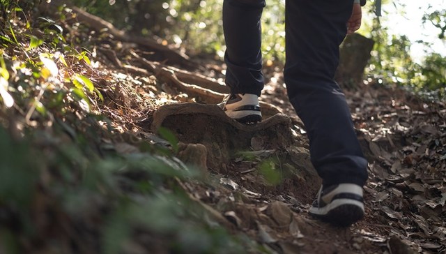 四川九峰山失联9人已找到8人，驴友：当地路况复杂，山上没信号