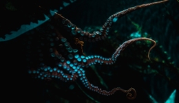 何氏家族投資王國再擴張