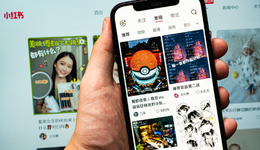 买手电商，小红书的“新解药”？