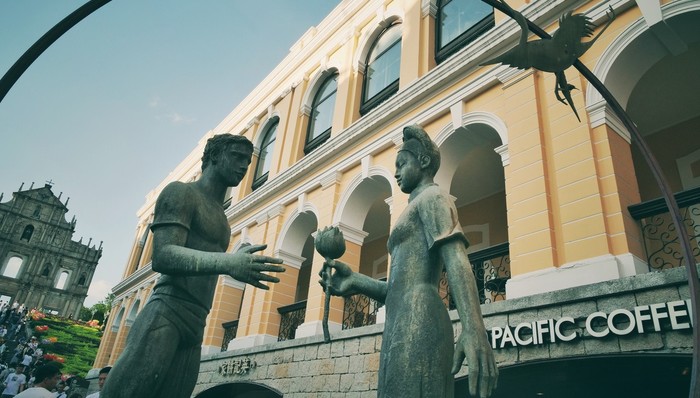 澳门,医药,粤港澳,人才引进