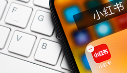 小红书挤进“猫狗拼”：大龄新兵的“第一个”双11