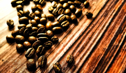 “劝退无效，我们要开咖啡店了。”