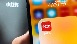 小紅書電商，本質(zhì)是“非標品”