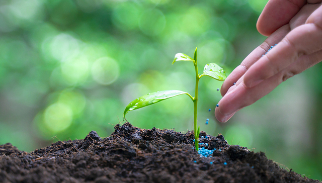 尿素期货价格6月以来上涨超40%，十二家化肥企业联合倡议保供稳价