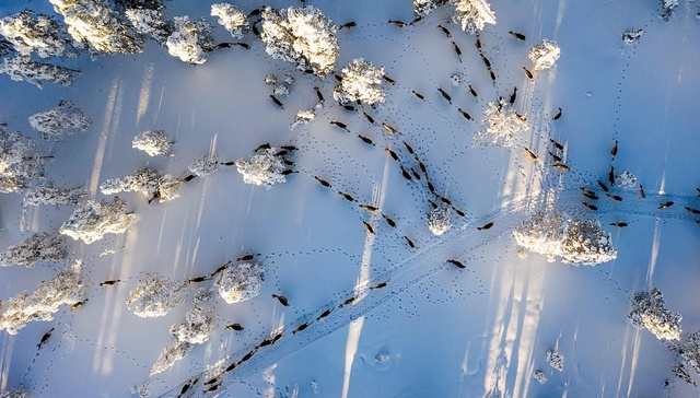 柳叶刀统计2022年极端天气导致健康损害增加，须加强早期预警系统