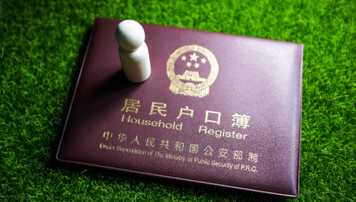 政策解读