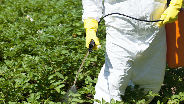 除草剂致癌案败诉欧股大跌19%,拜耳被判赔偿15.6亿美元增大业绩压力