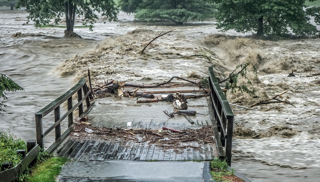 联合国：若不加速减排，“1.5°C温控目标”实现可能性仅14%