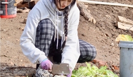 男团“种地”、女团“养猪”：内娱偶像真的不需要“唱跳”舞台了吗？