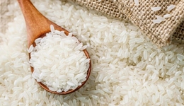 全網(wǎng)都在推的米乳，背后原料會是下一個爆款元素嗎？