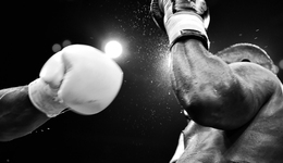 81岁“钮祜禄付”重返董事会，百亿派林生物内斗为何突然熄火？