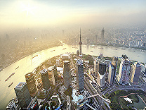 数字生活,三角网,长三角经济,数字家庭,数字时代,数字信息,共同行动,素养,共同努力,技能