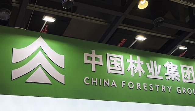 央企中林集团四家子公司债务逾期，总额23.17亿元