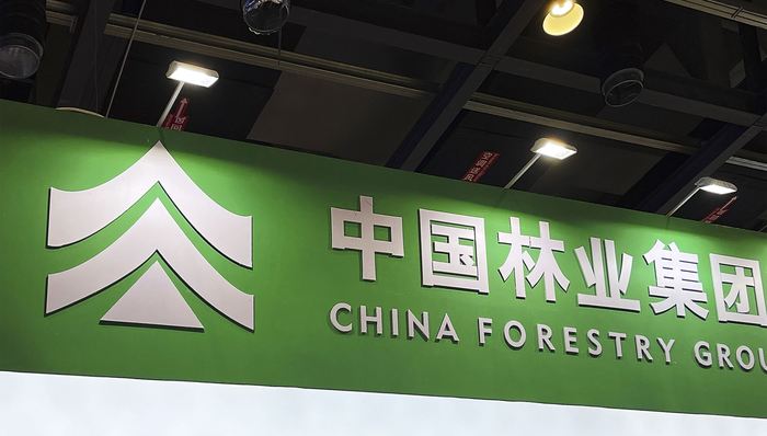 央企中林集团四家子公司债务逾期，总额23.17亿元