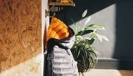 鴨鴨股份煥發(fā)第二春