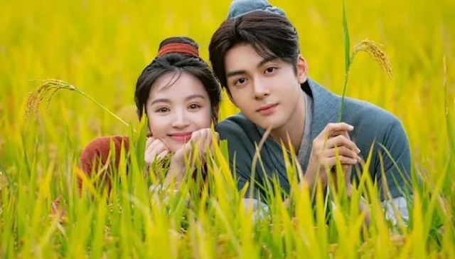 视频网站,优爱腾芒,网剧,消费趋势,轻喜剧