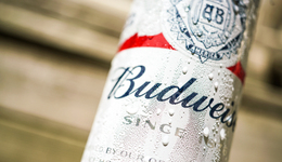 百威啤酒的北上与南下
