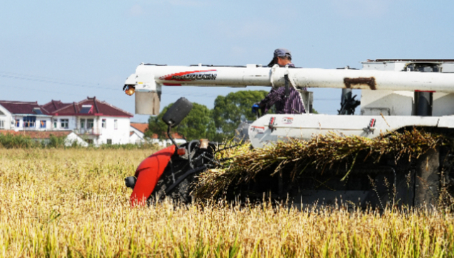财报,披露,出错,星光农机,收警示函