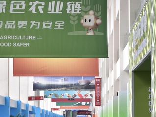 农业供应链如何现代化转型？首届链博会上这些数智化项目或许有答案