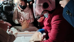 清北争抢的鹅腿阿姨，陷入流量漩涡