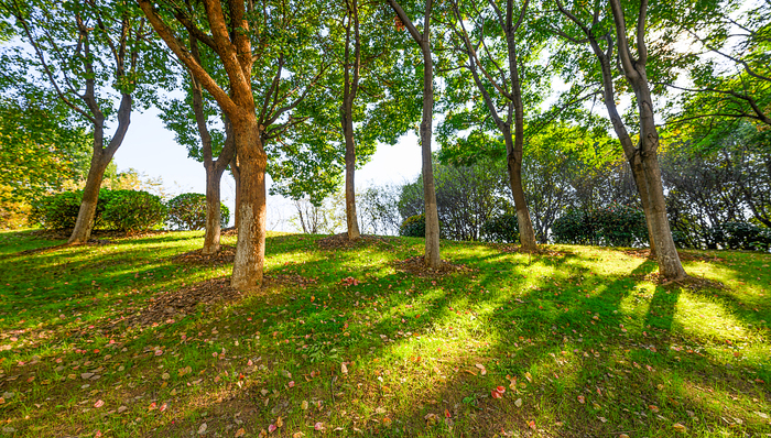 中央生态环保督察组通报5省典型案例：福建一度假区违规占用防护林地75.4亩