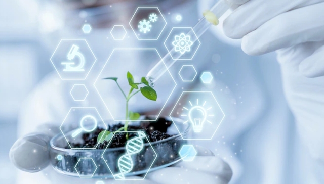 产业链,农业,供应链,技术创新,