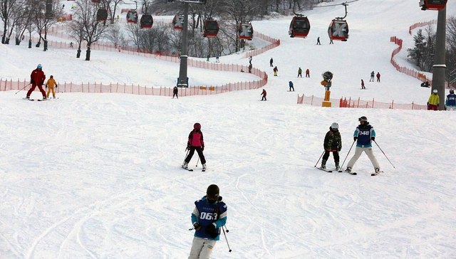 东北冰雪游升温，云南、海南旅行社北上“掘金”