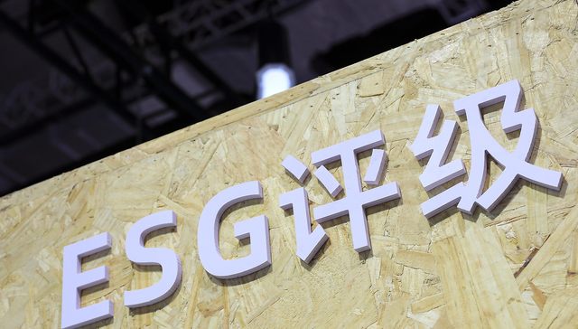 ESG标准群雄逐鹿，我们如何平衡全球话语与中国智慧 | ESG观察