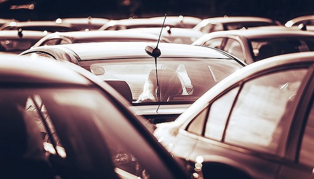 一杯咖啡钱保障全年公共交通意外，上海保险码推出首个专属惠民保险产品“随申飞”