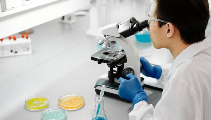 微生物,商业模式,投资,