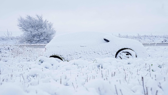 三家汽车品牌质疑懂车帝冬测，评测标准是否规范科学是关键