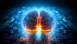 泡沫褪去之后：CEO們親自擁抱大模型