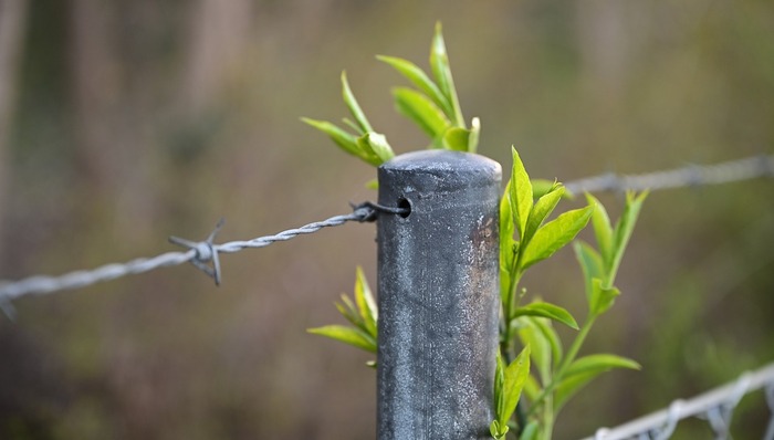 监管收紧下，咪蒙团队四部短剧全被下架或禁投