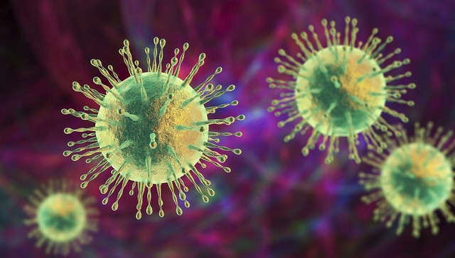 新冠JN.1变异株尚未大规模传至国内，专家称暂无证据表明其致病性增加