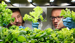 【圖集】水培蔬菜，在海上“種地”：未來農(nóng)業(yè)能否喂飽所有人？