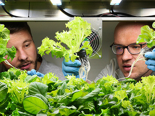 【图集】水培蔬菜，在海上“种地”：未来农业能否喂饱所有人？