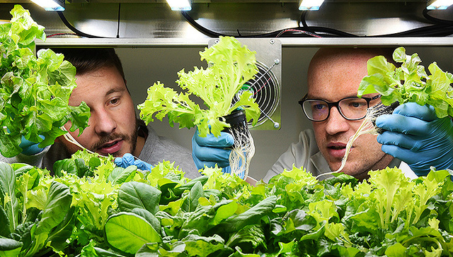 【图集】水培蔬菜，在海上“种地”：未来农业能否喂饱所有人？