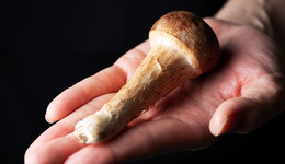 “明天更好”与“危机空前”共存，博物民族志如何帮助人类理解世界？