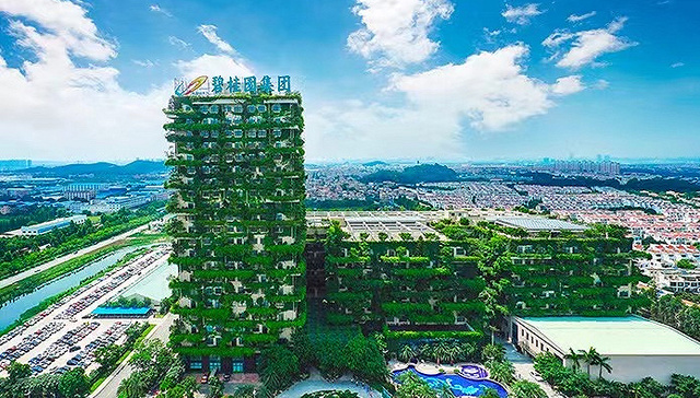 月薪1万，碧桂园杨惠妍、莫斌降薪，高管配车也要全部卖掉