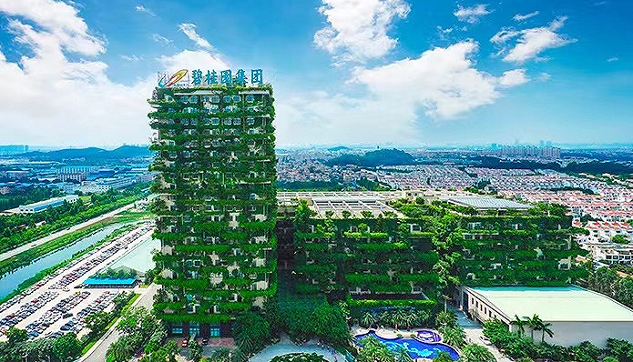 碧桂园