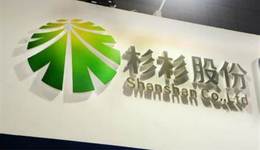 郑驹深陷杉杉系，90后掌门人何以破局？