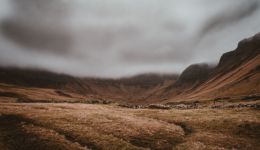 “人生是旷野，不是轨道”哪里治愈了？