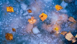 地方新聞精選｜黑龍江省主要江河全線封凍 杭州將迎史上最晚入冬時(shí)間