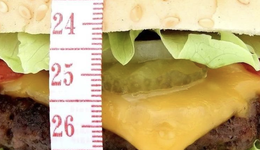 礼来股价下跌，指向减肥药竞争另一维度