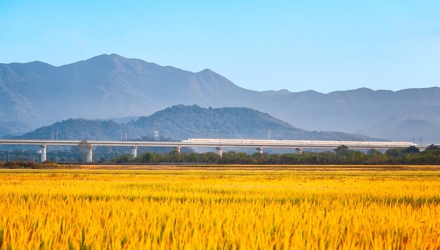 2023年中央经济工作会议，最需要深刻理解的是这两个字