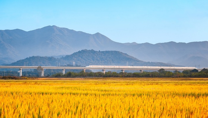 2023年中央经济工作会议，最需要深刻理解的是这两个字