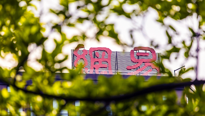 反超美团，网易成中国市值第四大互联网公司