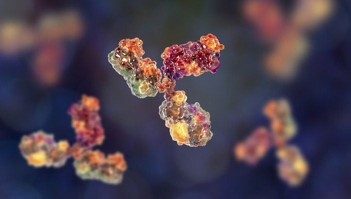 跨国药企继续在华扫货抗体偶联药，这一次的富贵轮到了和铂医药